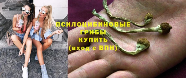 ALPHA PVP Дмитров